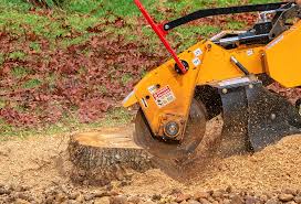 Best Grass Overseeding  in Alba, NY