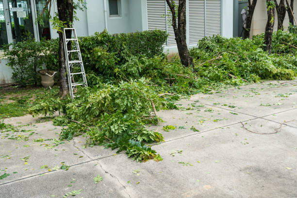 Best Aeration Services  in Alba, NY